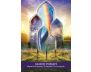 Gateway of Light Activation Oracle view 3