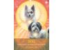 Archangel Animal Oracle Cards