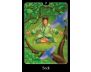 The Psychic Tarot for the Heart Oracle Card Deck