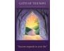 Sacred Traveler Oracle Cards