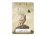 Wisdom of the Oracle Pocket Divination Cards view 8
