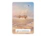 Wisdom of the Oracle Pocket Divination Cards view 4