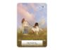 Wisdom of the Oracle Pocket Divination Cards view 6
