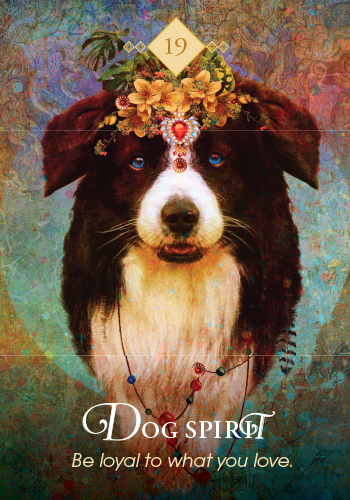 The Spirit Animal Oracle view 4