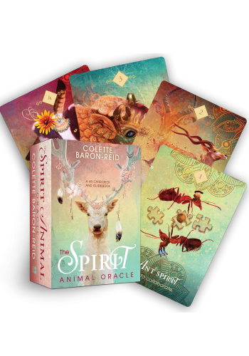The Spirit Animal Oracle view 3