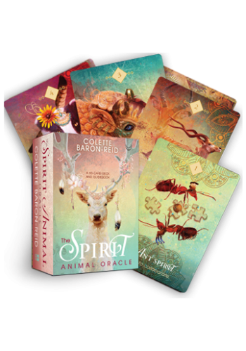 The Spirit Animal Oracle view 2