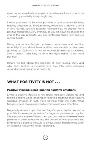 3 Minute Positivity Journal view 8