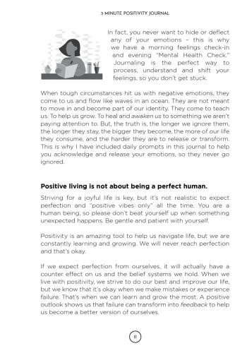 3 Minute Positivity Journal view 9