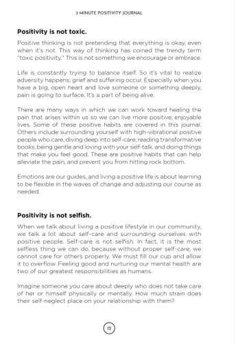 3 Minute Positivity Journal view 10