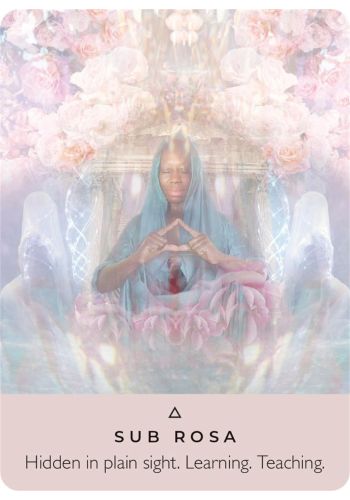 The Rose Pocket Oracle view 3