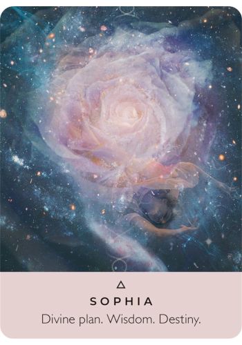 The Rose Pocket Oracle view 4