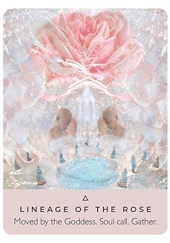 The Rose Pocket Oracle view 5