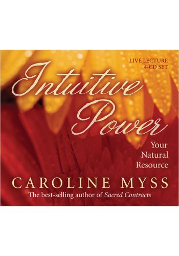Intuitive Power view 1