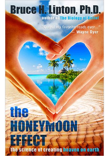 The Honeymoon Effect view 1