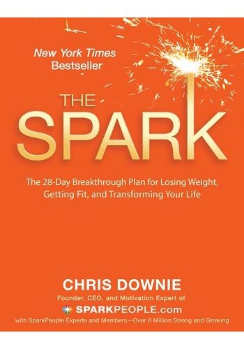 The Spark view 1