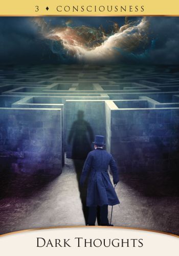 The Quantum Oracle view 4