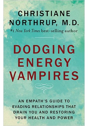 Dodging Energy Vampires view 1