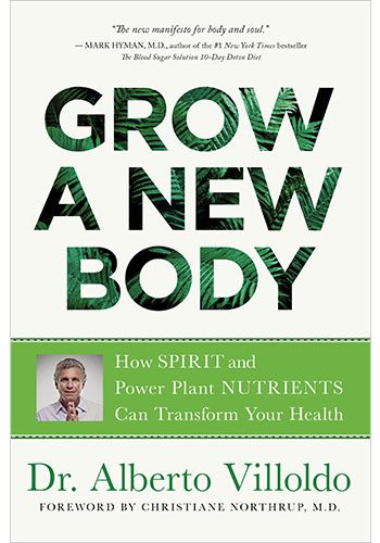 Grow a New Body view 7