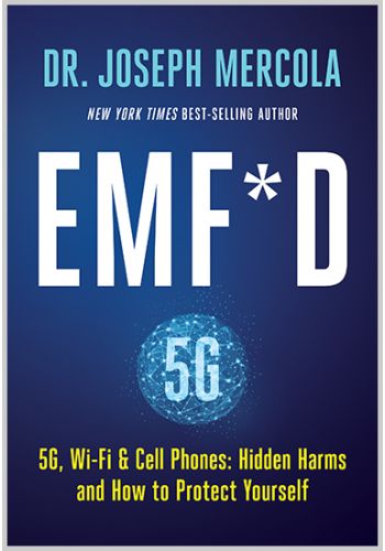 EMF*D view 1