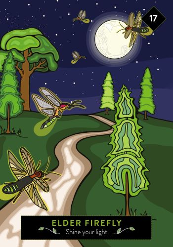 The Animal Elders Oracle view 8