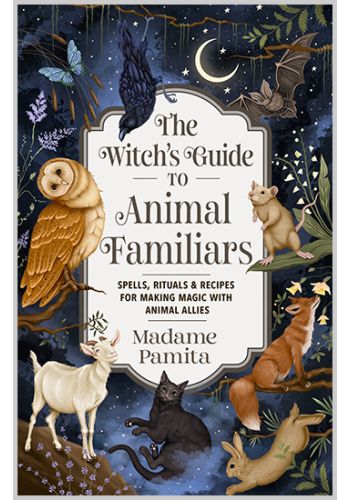 The Witch's Guide to Animal Familiars view 1