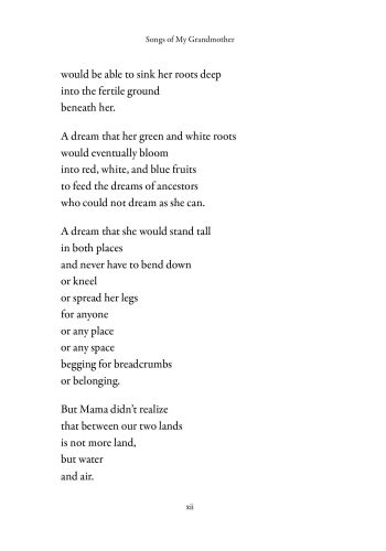 Songs of My Grandmother view 7