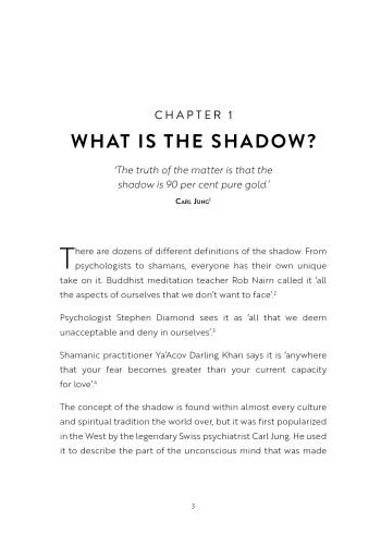 Do the Shadow Work view 2