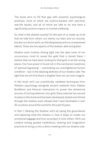 Do the Shadow Work view 7