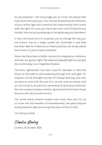 Do the Shadow Work view 9