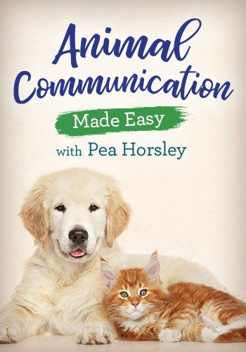Animal Communication Made Easy view 1