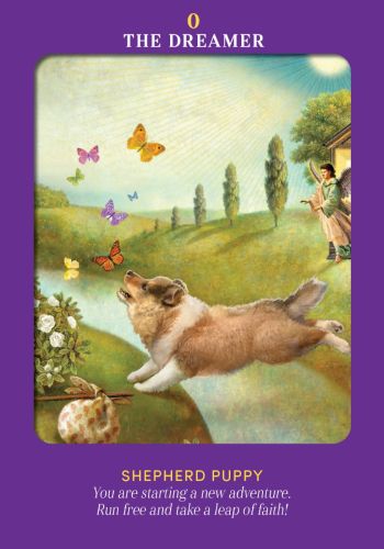 Animal Guides Tarot view 10