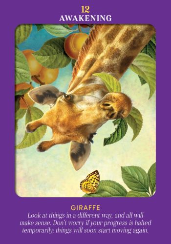 Animal Guides Tarot view 6