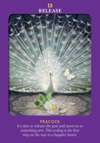 Animal Guides Tarot view 5