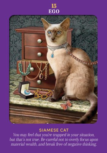 Animal Guides Tarot view 4