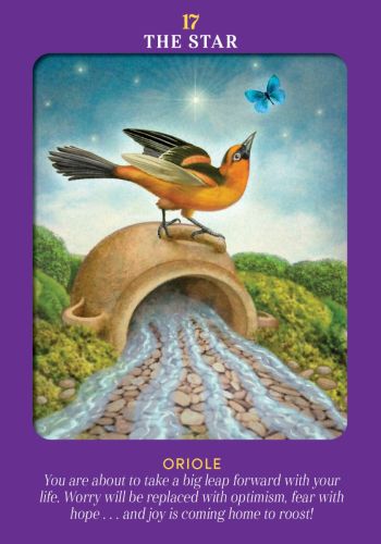 Animal Guides Tarot view 2