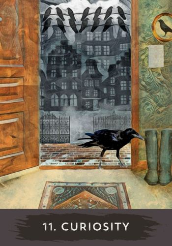 Urban Crow Oracle view 9
