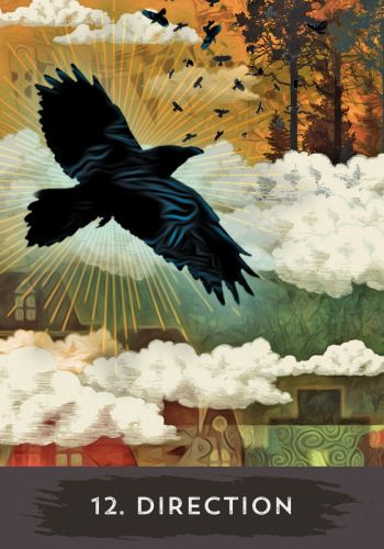 Urban Crow Oracle view 8