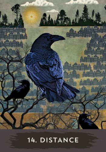 Urban Crow Oracle view 6