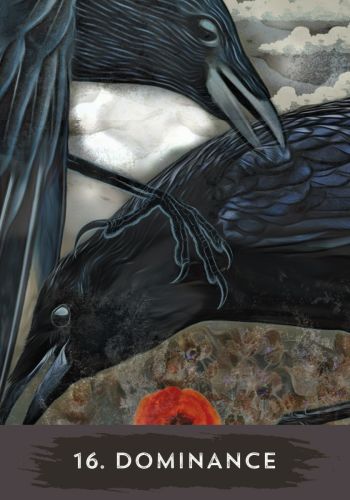 Urban Crow Oracle view 4