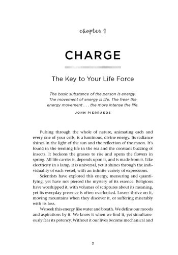 Charge and the Energy Body view 8