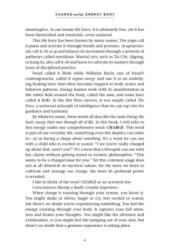 Charge and the Energy Body view 9