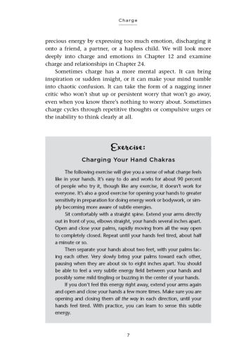Charge and the Energy Body view 10