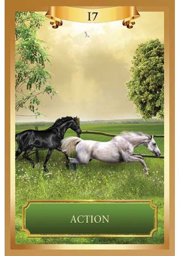 Energy Oracle Cards view 9