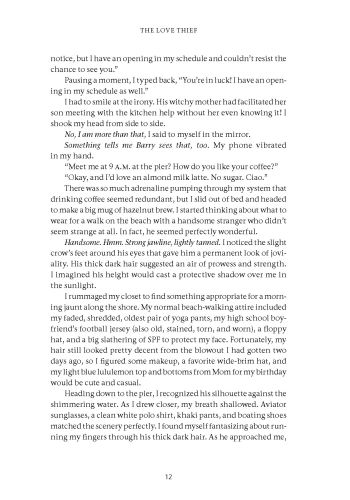 The Love Thief view 9