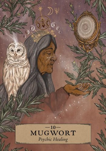The Herbal Astrology Oracle view 11