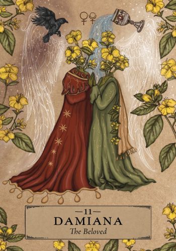 The Herbal Astrology Oracle view 10
