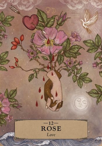 The Herbal Astrology Oracle view 9
