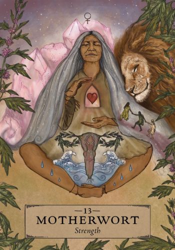 The Herbal Astrology Oracle view 8
