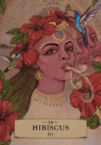 The Herbal Astrology Oracle view 7