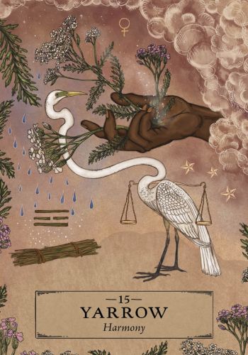 The Herbal Astrology Oracle view 6
